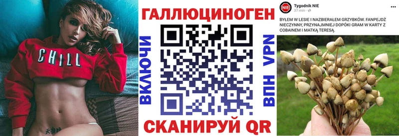где можно купить   Лаишево  Галлюциногенные грибы ЛСД 